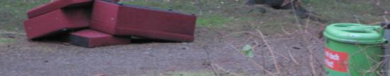 Rotes Sofa im Rantzauer Forst (Foto: GALiN)
